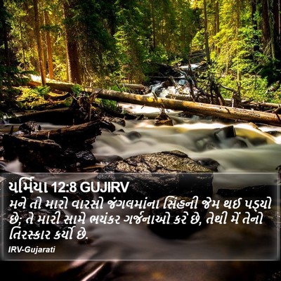 યર્મિયા 12:8 GUJIRV Bible Verse Image