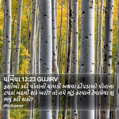 યર્મિયા 13:23 GUJIRV Bible Verse Image