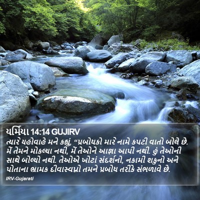 યર્મિયા 14:14 GUJIRV Bible Verse Image