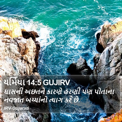 યર્મિયા 14:5 GUJIRV Bible Verse Image