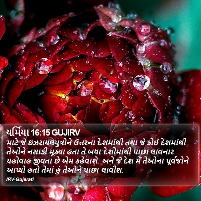 યર્મિયા 16:15 GUJIRV Bible Verse Image