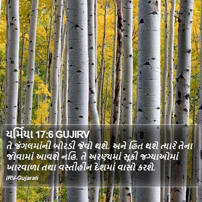યર્મિયા 17:6 GUJIRV Bible Verse Image