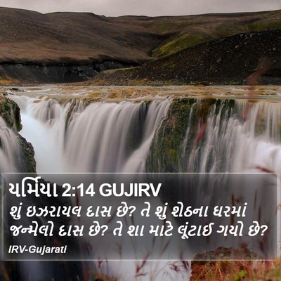 યર્મિયા 2:14 GUJIRV Bible Verse Image