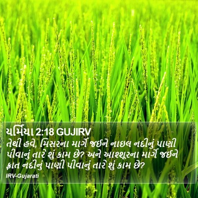 યર્મિયા 2:18 GUJIRV Bible Verse Image
