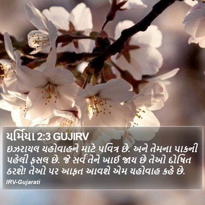 યર્મિયા 2:3 GUJIRV Bible Verse Image