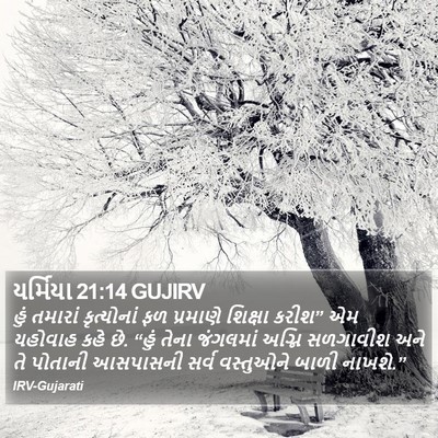યર્મિયા 21:14 GUJIRV Bible Verse Image
