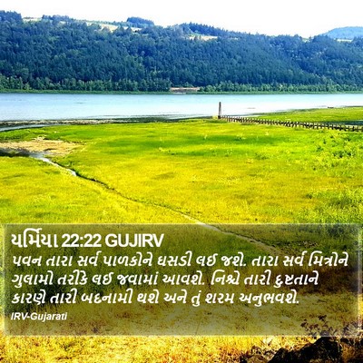 યર્મિયા 22:22 GUJIRV Bible Verse Image
