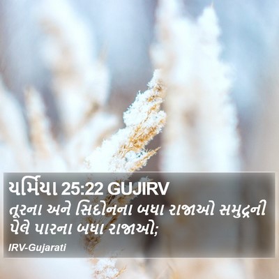 યર્મિયા 25:22 GUJIRV Bible Verse Image