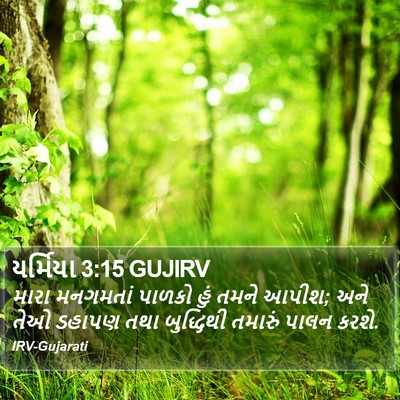 યર્મિયા 3:15 GUJIRV Bible Verse Image