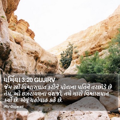 યર્મિયા 3:20 GUJIRV Bible Verse Image