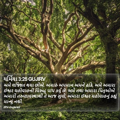 યર્મિયા 3:25 GUJIRV Bible Verse Image