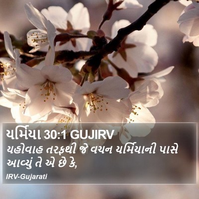યર્મિયા 30:1 GUJIRV Bible Verse Image