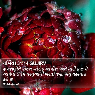 યર્મિયા 31:14 GUJIRV Bible Verse Image