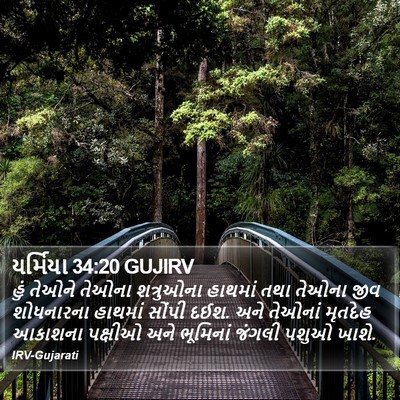 યર્મિયા 34:20 GUJIRV Bible Verse Image
