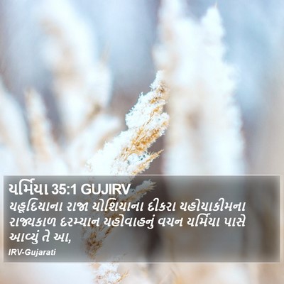 યર્મિયા 35:1 GUJIRV Bible Verse Image