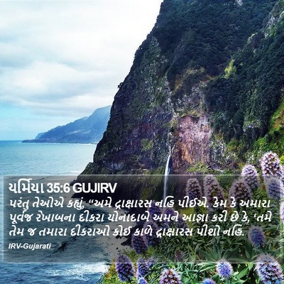 યર્મિયા 35:6 GUJIRV Bible Verse Image