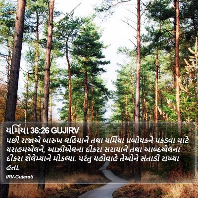 યર્મિયા 36:26 GUJIRV Bible Verse Image