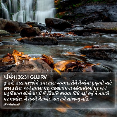 યર્મિયા 36:31 GUJIRV Bible Verse Image