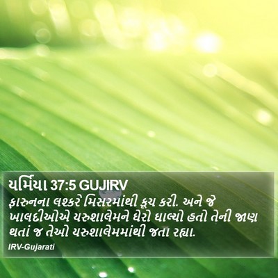 યર્મિયા 37:5 GUJIRV Bible Verse Image