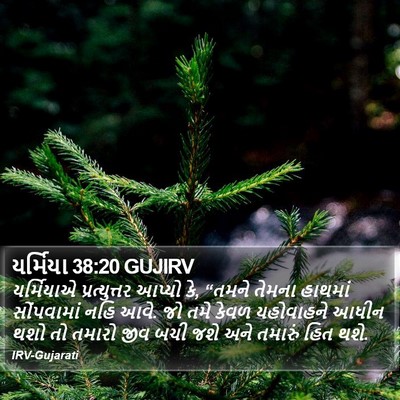યર્મિયા 38:20 GUJIRV Bible Verse Image