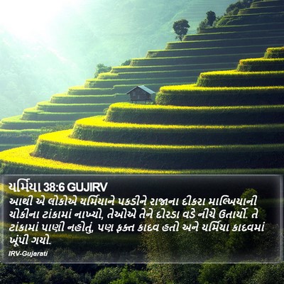 યર્મિયા 38:6 GUJIRV Bible Verse Image