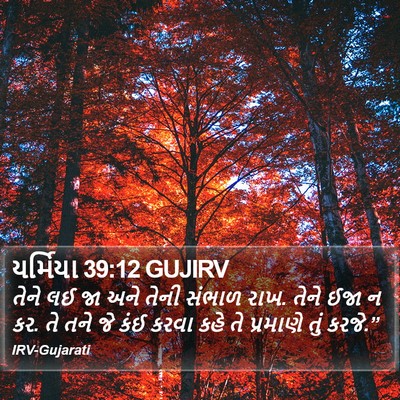 યર્મિયા 39:12 GUJIRV Bible Verse Image