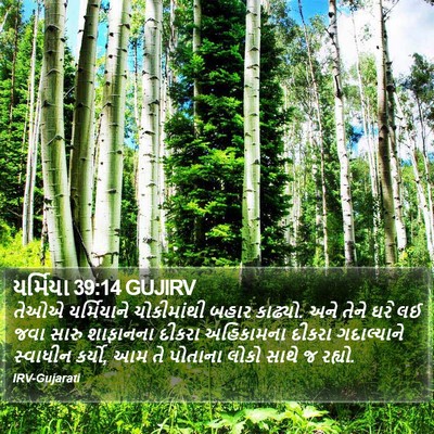 યર્મિયા 39:14 GUJIRV Bible Verse Image