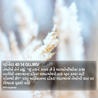 યર્મિયા 40:14 GUJIRV Bible Verse Image