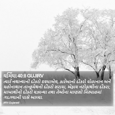 યર્મિયા 40:8 GUJIRV Bible Verse Image