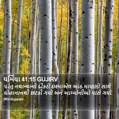 યર્મિયા 41:15 GUJIRV Bible Verse Image