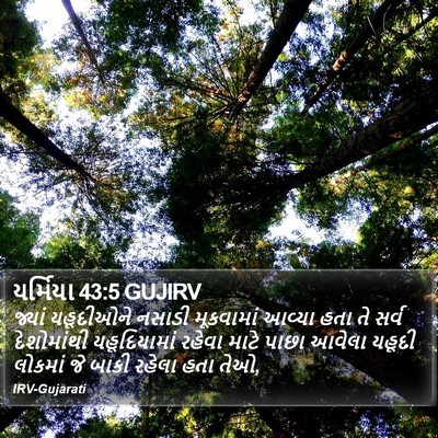 યર્મિયા 43:5 GUJIRV Bible Verse Image