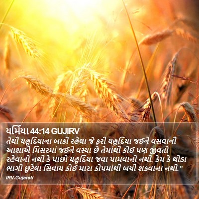 યર્મિયા 44:14 GUJIRV Bible Verse Image