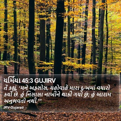 યર્મિયા 45:3 GUJIRV Bible Verse Image