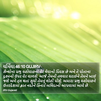 યર્મિયા 46:10 GUJIRV Bible Verse Image