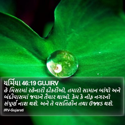 યર્મિયા 46:19 GUJIRV Bible Verse Image