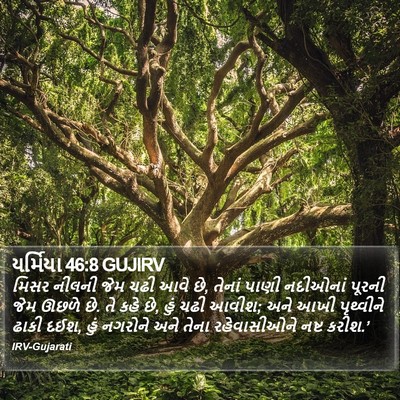 યર્મિયા 46:8 GUJIRV Bible Verse Image