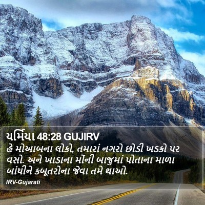 યર્મિયા 48:28 GUJIRV Bible Verse Image