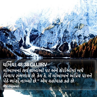 યર્મિયા 48:38 GUJIRV Bible Verse Image
