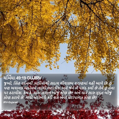 યર્મિયા 49:19 GUJIRV Bible Verse Image
