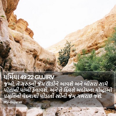 યર્મિયા 49:22 GUJIRV Bible Verse Image