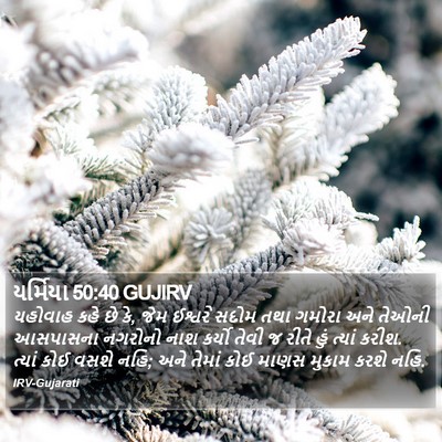 યર્મિયા 50:40 GUJIRV Bible Verse Image