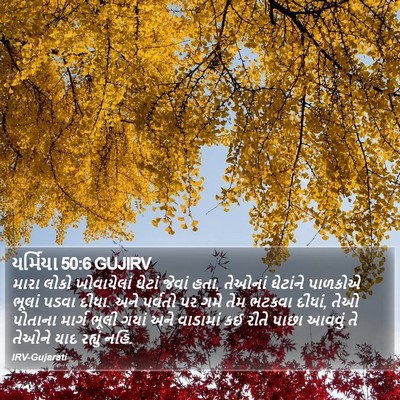 યર્મિયા 50:6 GUJIRV Bible Verse Image