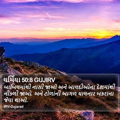 યર્મિયા 50:8 GUJIRV Bible Verse Image