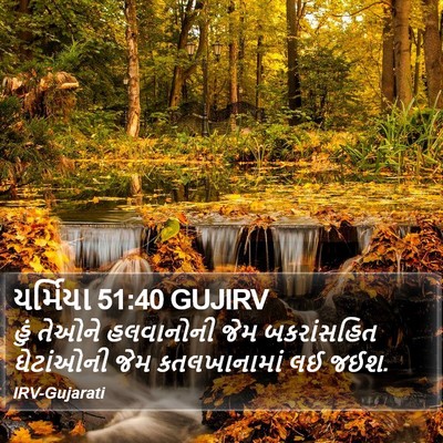 યર્મિયા 51:40 GUJIRV Bible Verse Image