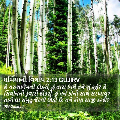 યર્મિયાનો વિલાપ 2:13 GUJIRV Bible Verse Image