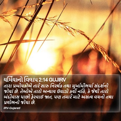 યર્મિયાનો વિલાપ 2:14 GUJIRV Bible Verse Image