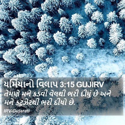 યર્મિયાનો વિલાપ 3:15 GUJIRV Bible Verse Image
