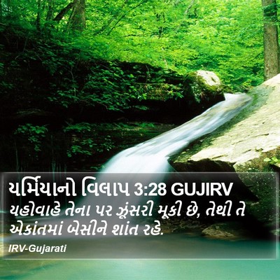 યર્મિયાનો વિલાપ 3:28 GUJIRV Bible Verse Image