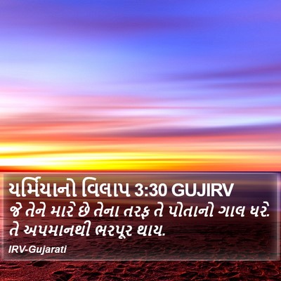 યર્મિયાનો વિલાપ 3:30 GUJIRV Bible Verse Image