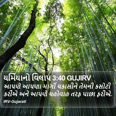 યર્મિયાનો વિલાપ 3:40 GUJIRV Bible Verse Image